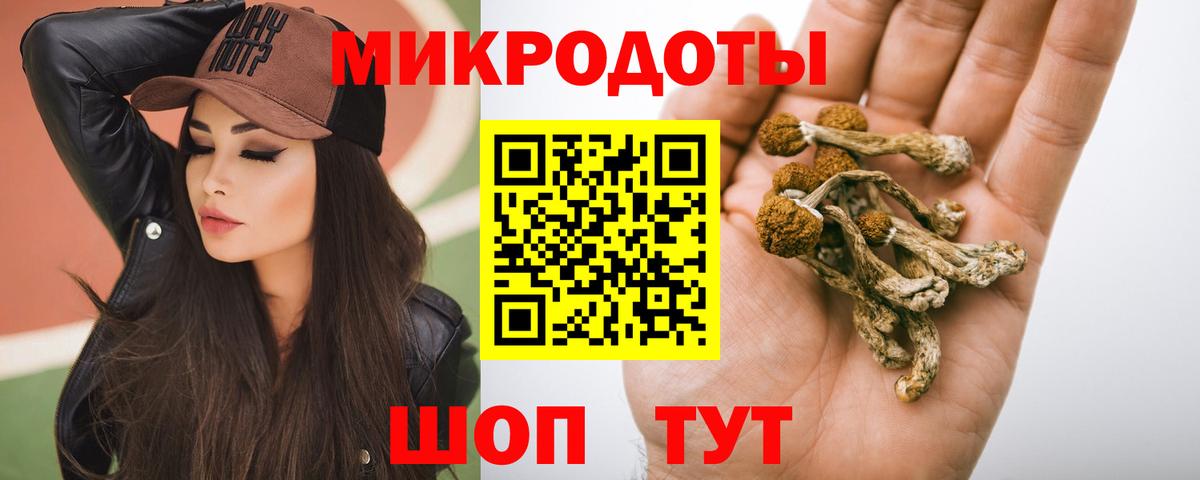Псилоцибиновые грибы прущие грибы  Вход с VPN  Дюртюли 