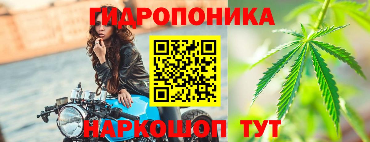 Канабис White Widow  МАРИХУАНА THC 21%  Вход с VPN  Дюртюли 